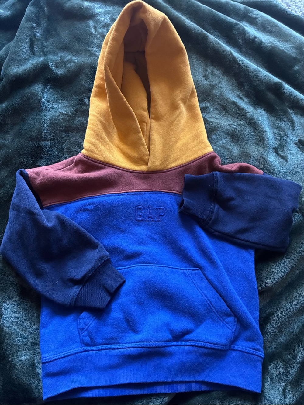 Kids Colorblock Hooded GAP Sweatshirt